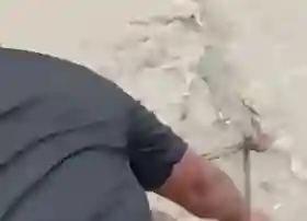 Pasca Nelayan Tewas Diterkam, Warga Buru dan Eksekusi Buaya di Sungai Rokan