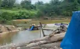  Termasuk 2 Bocah, 5 Penambang Emas Ilegal Ditangkap di Pelalawan