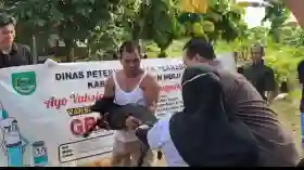 112 Hewan Peliharaan di Rohul Mendapat Vaksin Rabies