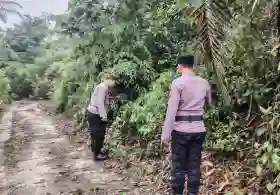  Patroli Karhutla Polsek Tanah Putih Pastikan Wilayah Bebas Titik Api