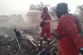 Citra Satelit Temukan Eskalasi Titik Api, Data Kemenhut Catat Luas Area Karhutla di Riau Tembus Belasan Ribu Hektare