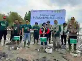 Perkuat Upaya Pelestarian Mangrove di Kepulauan Meranti, RAPP Dukung Gerakan Nasional Hari Mangrove Sedunia