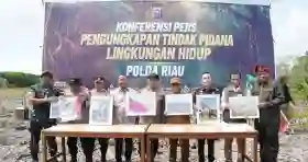  Bupati Rohil Apresiasi Polda Riau Ungkap Perusakan Mangrove, Imbau Masyarakat Tak Lagi Merusak Hutan
