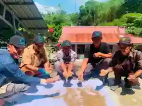 Pakan Alternatif Perkuat Usaha Pembudidaya Ikan di Kandis