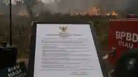 Forkopimda Riau Terbitkan Maklumat, Pembakar Hutan Terancam 15 Tahun Penjara