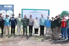 Pulihkan Pesisir Bengkalis, 3.200 Hektare Mangrove Ditanam Lewat M4CR
