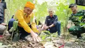Pemkab Sigi Ajak Lintas Sektor Bersatu Jaga Hutan Ranjuri Sigi yang Berusia Ratusan Tahun