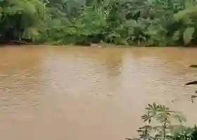 Ancaman Krisis Ekologis Lintas Provinsi, Walhi Riau dan Sumbar Desak Evaluasi DAS Kampar