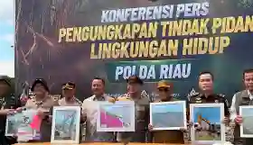  BKSDA Apresiasi Polda Riau Ungkap Perusakan Mangrove di Rohil