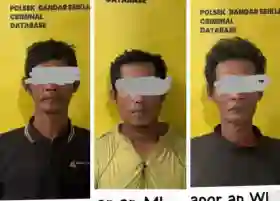 Kepergok Drone Saat Angkut 21 Karung Berondolan Sawit, 3 Pelaku Curat Ditangkap di Pelalawan