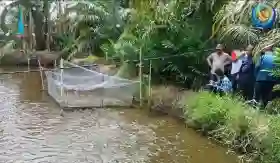 Sukses Sulap Parit Aman Jadi Kampung Patin, Ekonomi Warga Rohil Kian Menggeliat