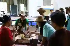  Petani Mangga Indonesia Pelajari Praktik Baik dalam Kunjungan Studi ke Filipina yang Difasilitasi FAO