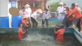 Lapas Kelas IIA Pekanbaru Panen 1,5 Ton Ikan Patin dan Tebar 1.500 Benih Lele 