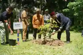 Bupati Suhardiman Tanam Pohon di Hari Santri 2025