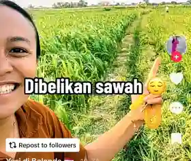 Dapat Kiriman Uang dari Sang Anak, Ibu Ini Bisa Bangun 2 Rumah hingga Beli Sawah