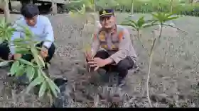 Kapolsek Panipahan Lakukan Penanaman Pohon Serentak