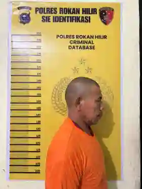 Polres Rohil Ungkap Kasus Pembakaran Lahan di Balai Jaya, Satu Pelaku Diamankan