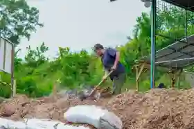  RI Punya Harta Karun Bioenergi, Jadi Pilar Ketahanan Energi