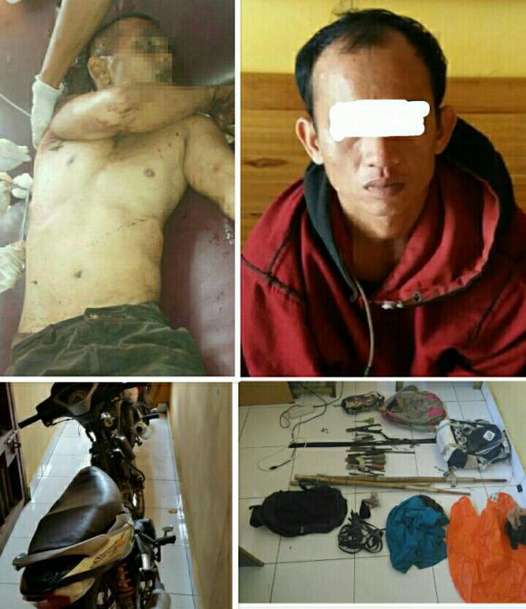 Pencuri Sarang Burung Walet di Panipahan Diamuk Warga, Satu Tewas | Peristiwa, 