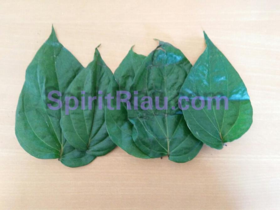 Waduh... Ada Daun Sirih di Pintu Masuk 7 TPS di Kepenghuluan Bagan Batu | Peristiwa, 