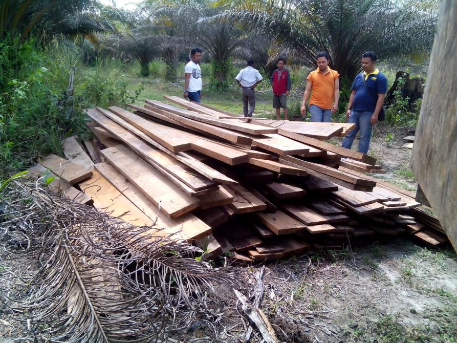 Lagi Tim Opsnal Polsek Pinggir Temukan Kayu Olahan Tak Bertuan | Peristiwa, 