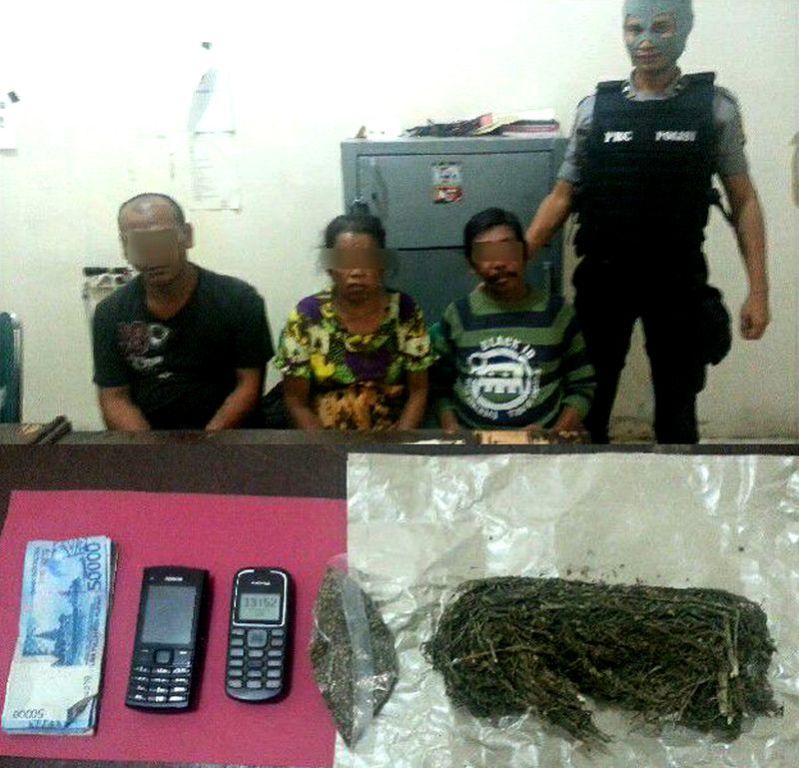 Diduga Sebagai Penjual Ganja, Pasutri Lansia ini Meringkuk Disel Mapolres Rohil | hukrim,