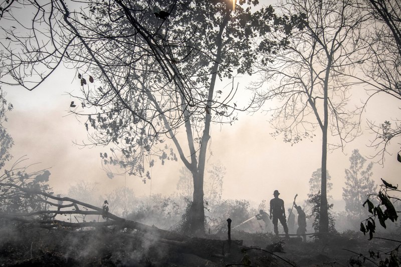 Riau Penyumbang Titik Api Terbanyak | Peristiwa,