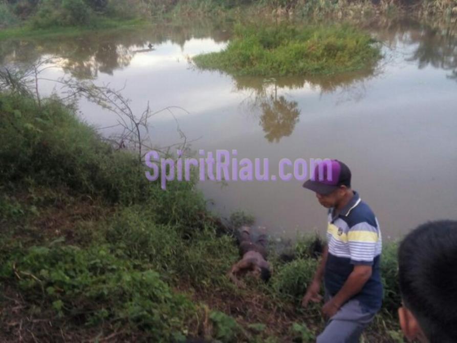 Masyarakat Pasir Jambu Heboh, Satu Warga Mereka Ditemukan Tewas Di danau Bekas Quari  | Peristiwa, 