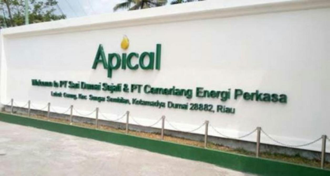 PT. SDS Terancam Pidana | Peristiwa